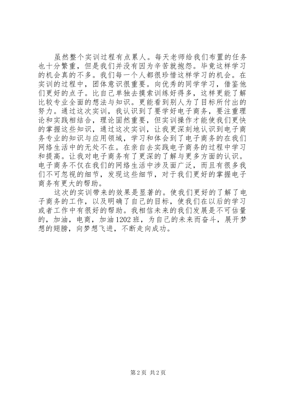 电子商务实训心得 _第2页