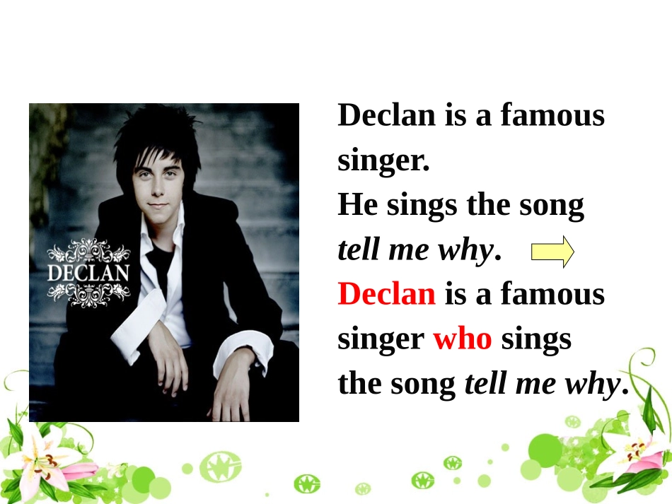 定语从句(1)_第3页