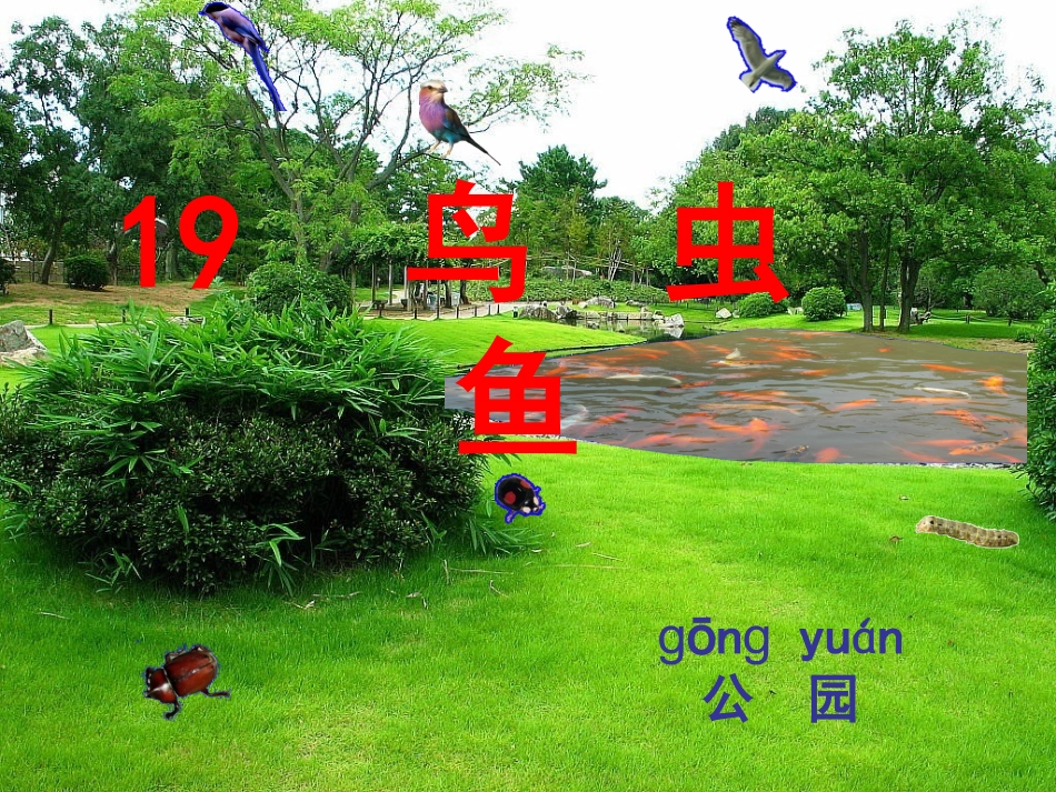 鸟虫鱼PPT_第3页