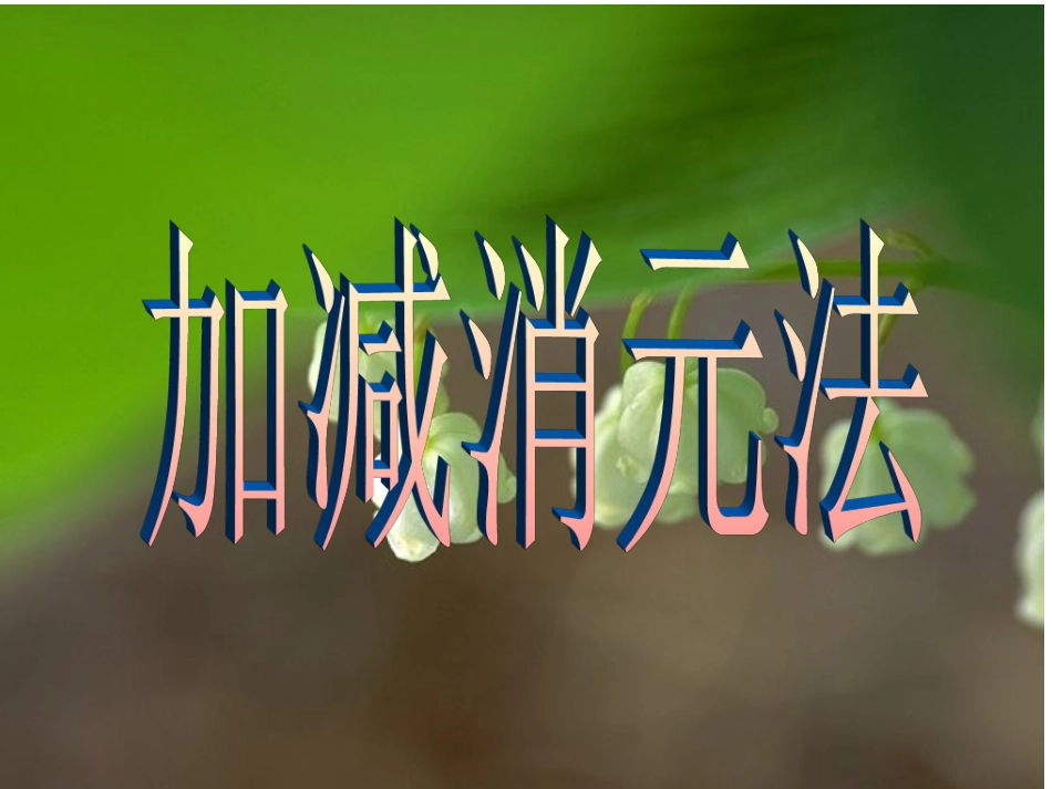 加减法解二元一次方程_第1页