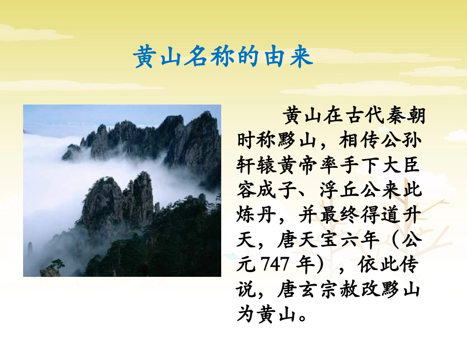 《黄山松》课件1_第3页