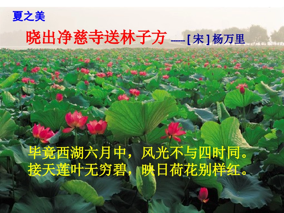 湖心亭看雪12_第3页