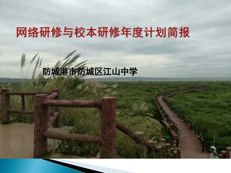 2017江山中学校本研修年度计划简报[1]_第1页