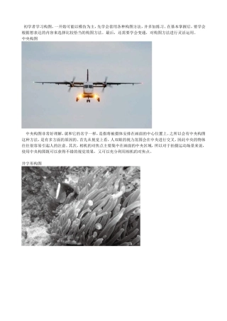从入门到精通详解微单摄影十大构图方式