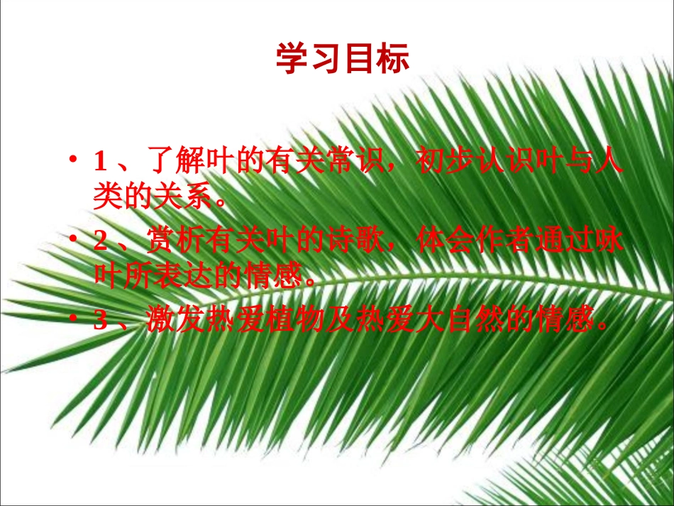 专题---叶_第2页