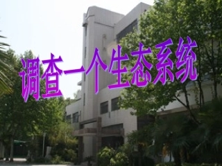 多种多样的生态系统2(调查一个生态系统)