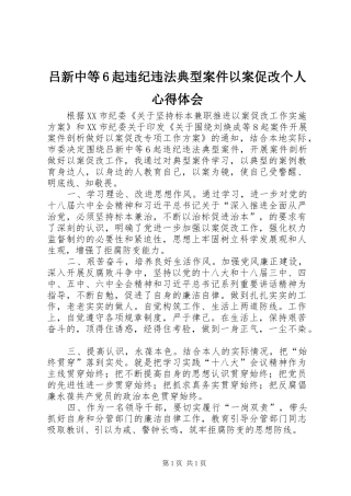 吕新中等6起违纪违法典型案件以案促改个人心得体会