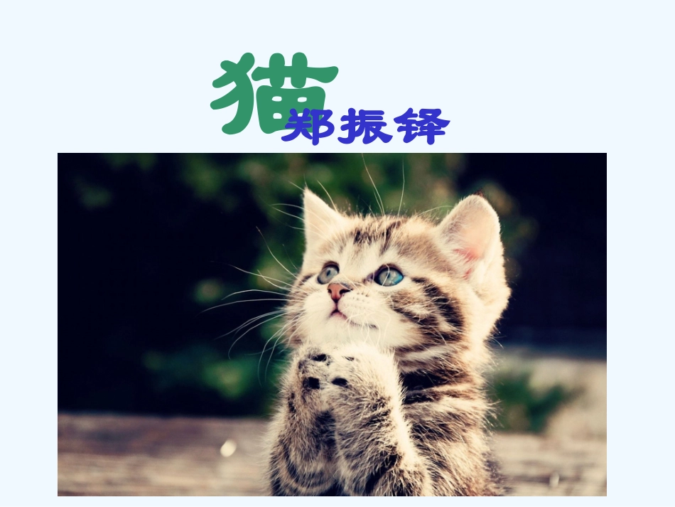 (部编)初中语文人教2011课标版七年级上册郑振铎《猫》课件-(3)_第2页