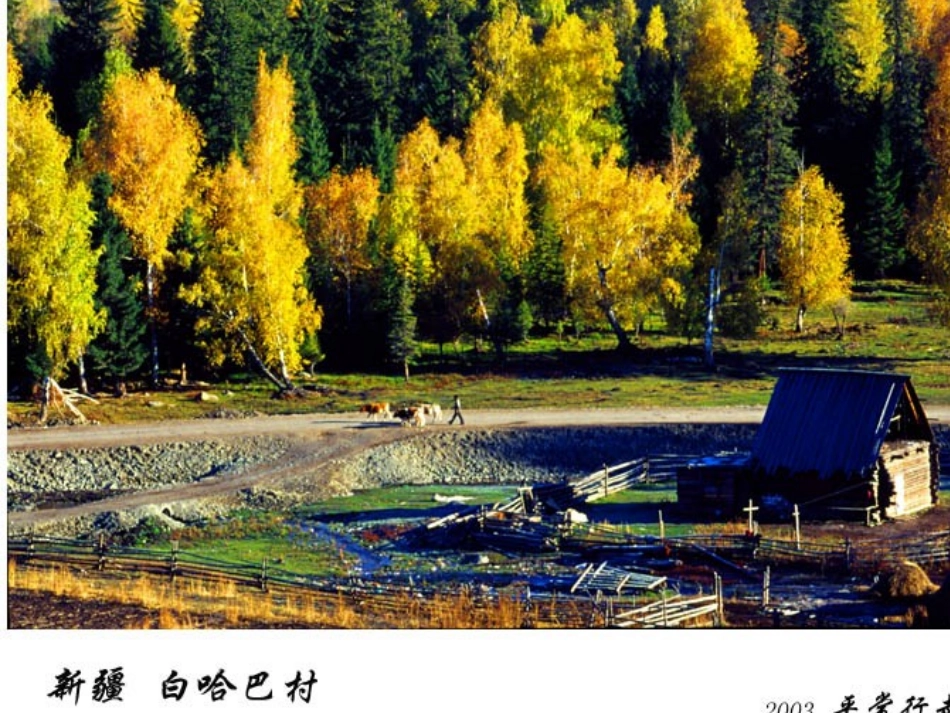 7.2新疆──祖国面积最大的省级行政区域_第2页