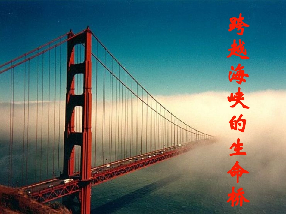 跨越海峡的生命桥_第1页