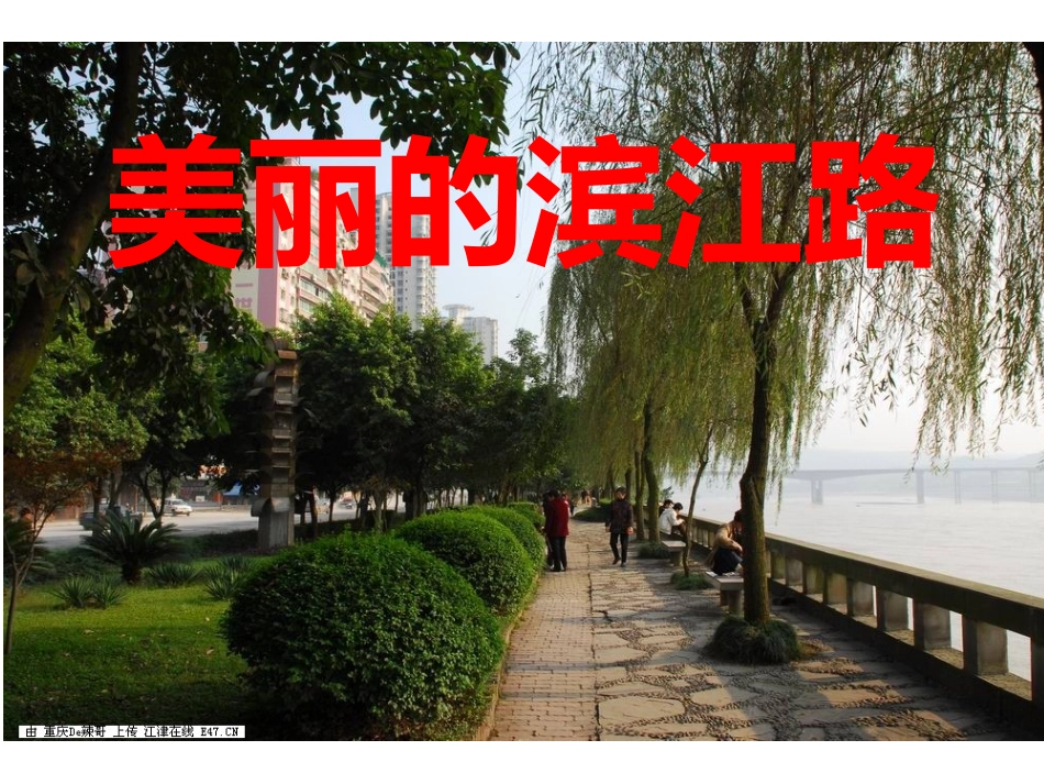 美丽的滨江路_第1页