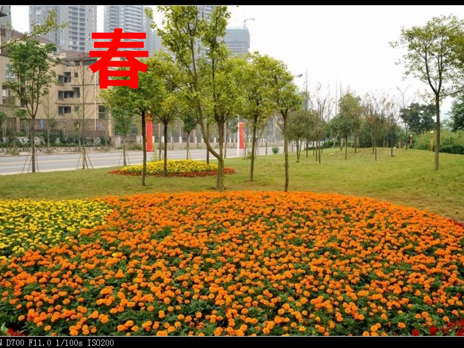 美丽的滨江路_第3页
