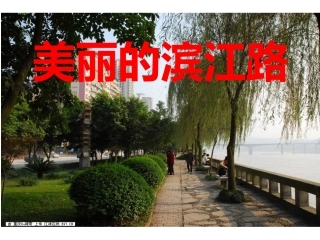 美丽的滨江路