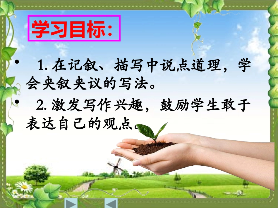 夹叙夹议--彰显神采_第2页