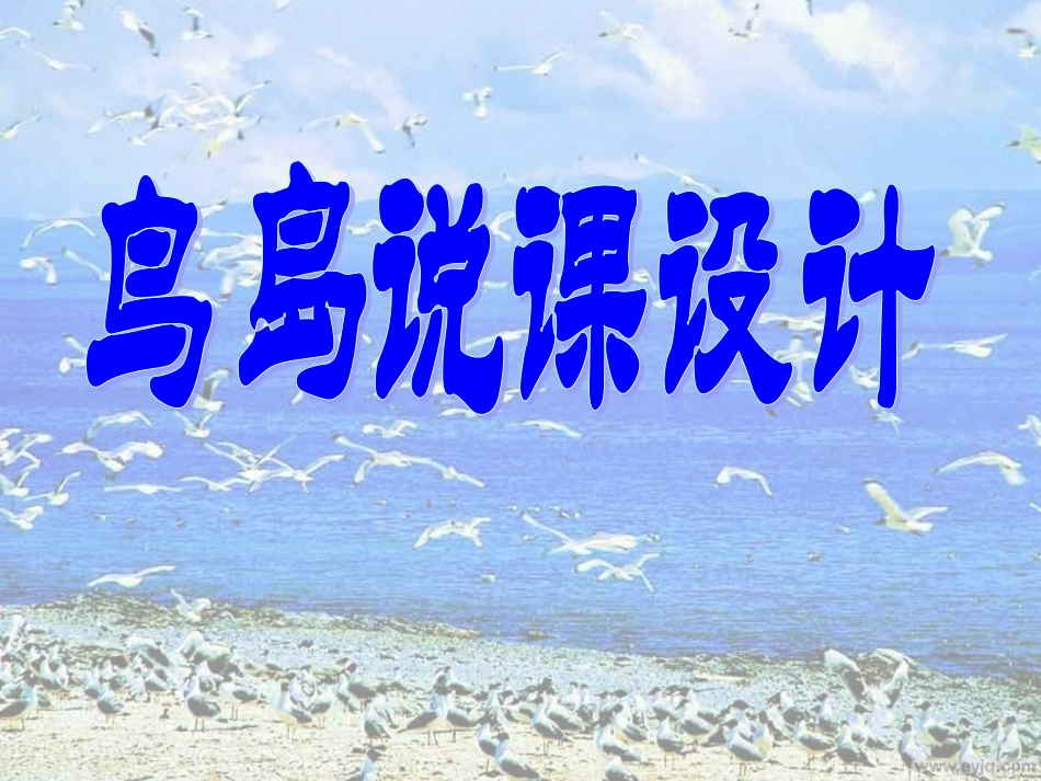 二下鸟岛说课_第1页