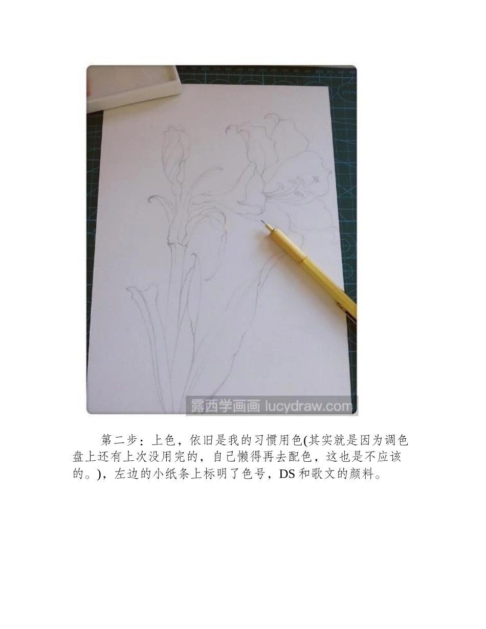 水彩画朱顶红怎么画水彩画教程_第2页