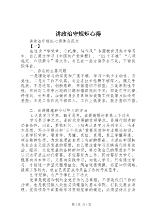 讲政治守规矩心得 