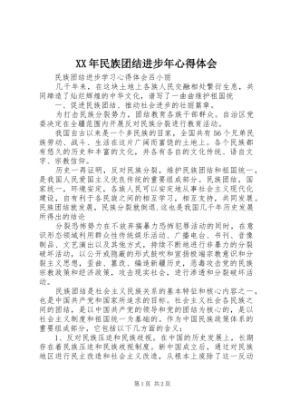 XX年民族团结进步年心得体会 