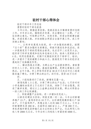 驻村干部心得体会 