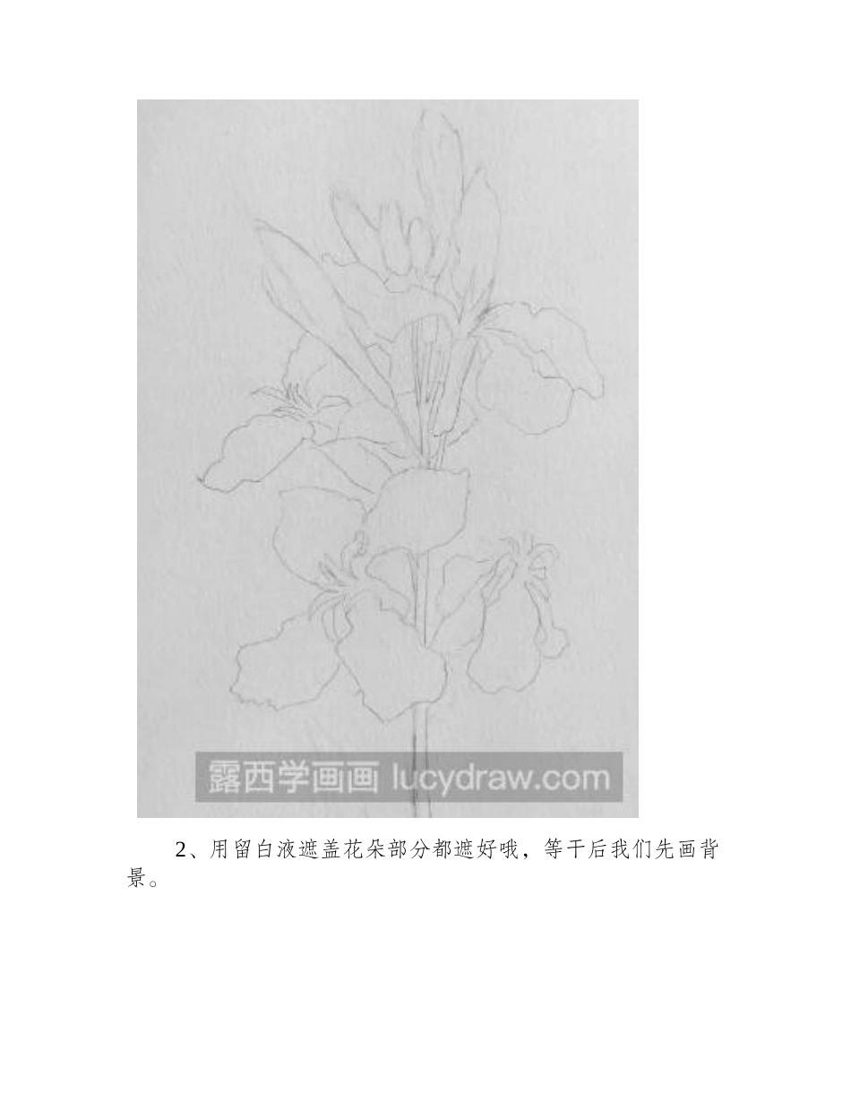 水彩画兰花步骤教程水彩画教程_第2页
