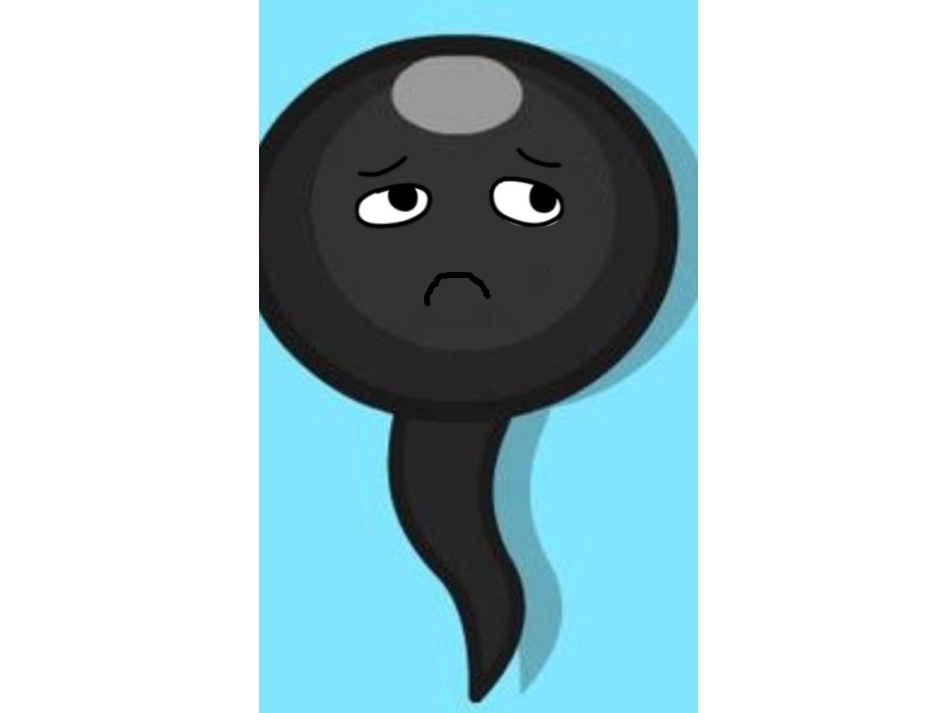小蝌蚪找妈妈_第1页