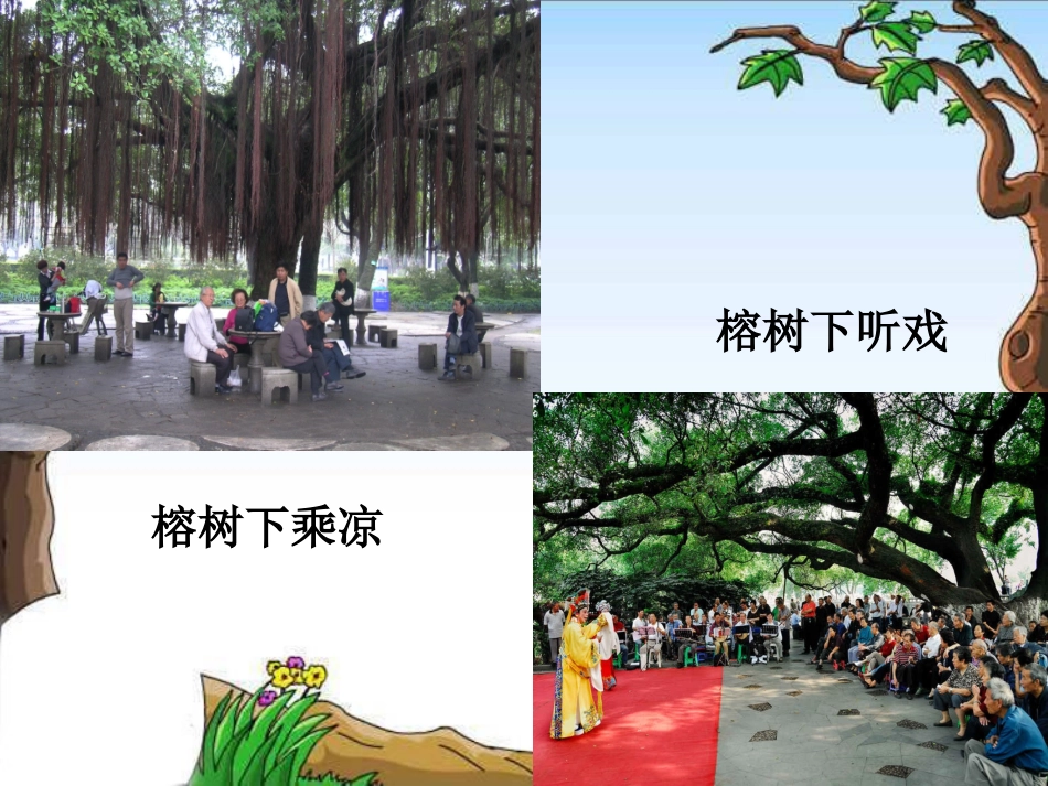 榕树下的风景_第2页
