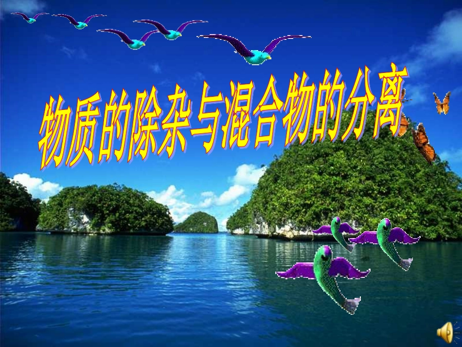 除杂课件新09-3_第1页