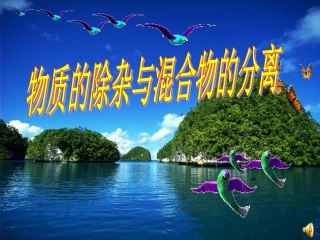 除杂课件新09-3