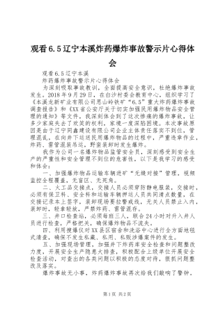 观看6.5辽宁本溪炸药爆炸事故警示片心得体会 (5)