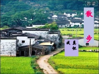 《散步》课件03