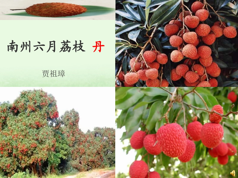 南州六月荔枝丹_第1页