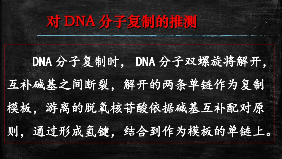 3.3DNA分子复制_第2页