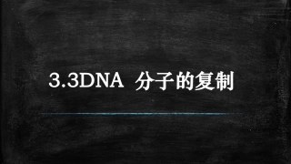 3.3DNA分子复制