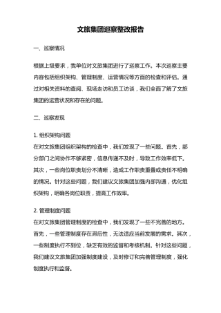 文旅集团巡察整改报告 