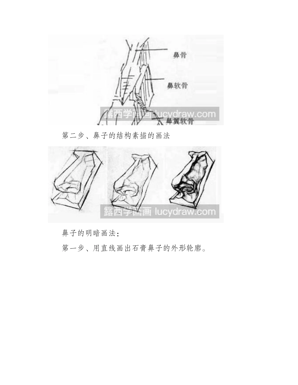 素描教程：教你画鼻子素描教程_第2页