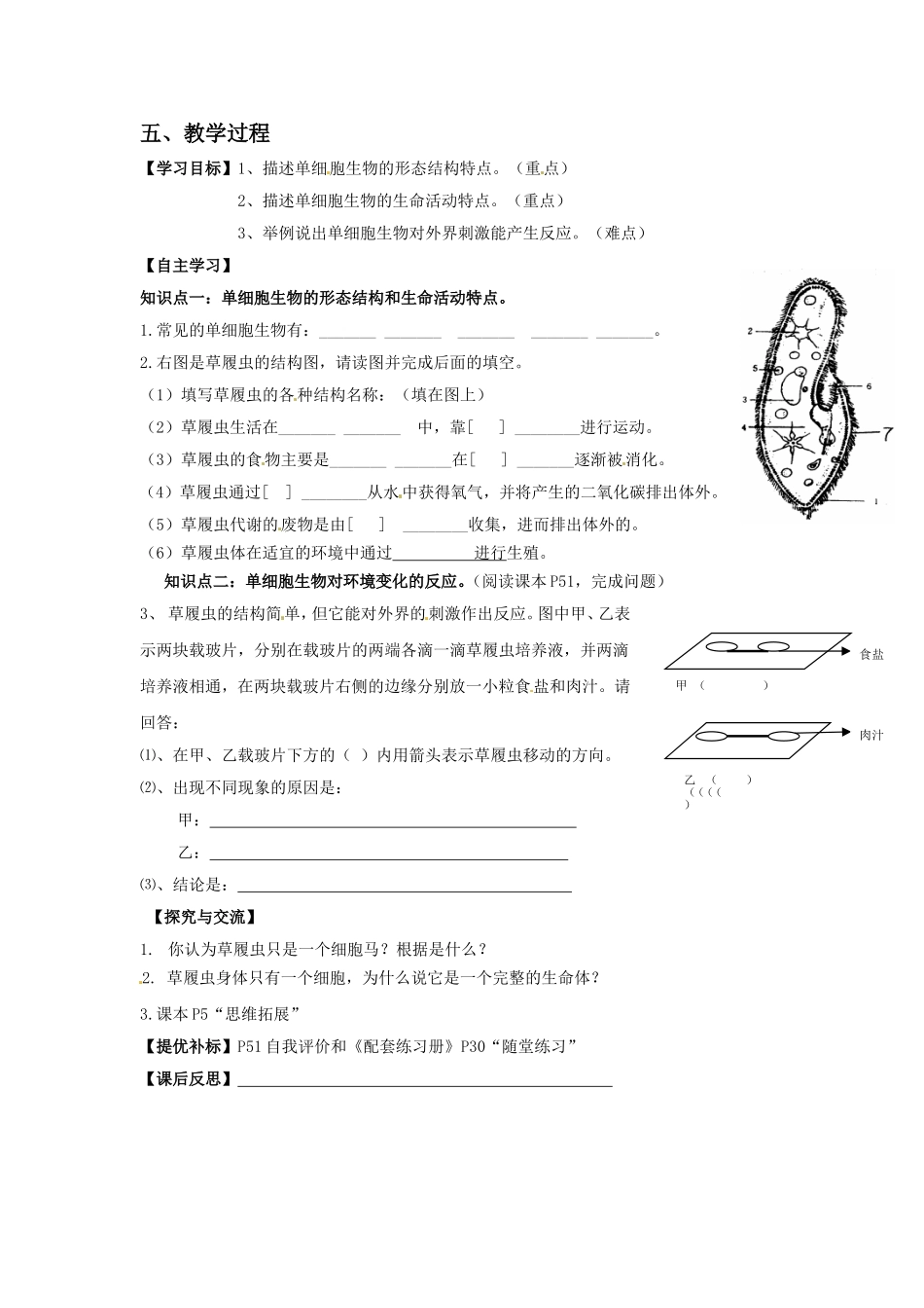 《第一节-单细胞生物》教案6_第2页