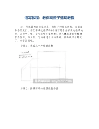 速写教程：教你画橙子速写教程