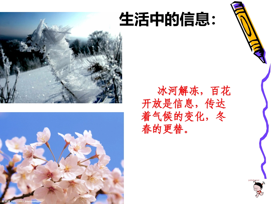 信息及其特征2_第3页