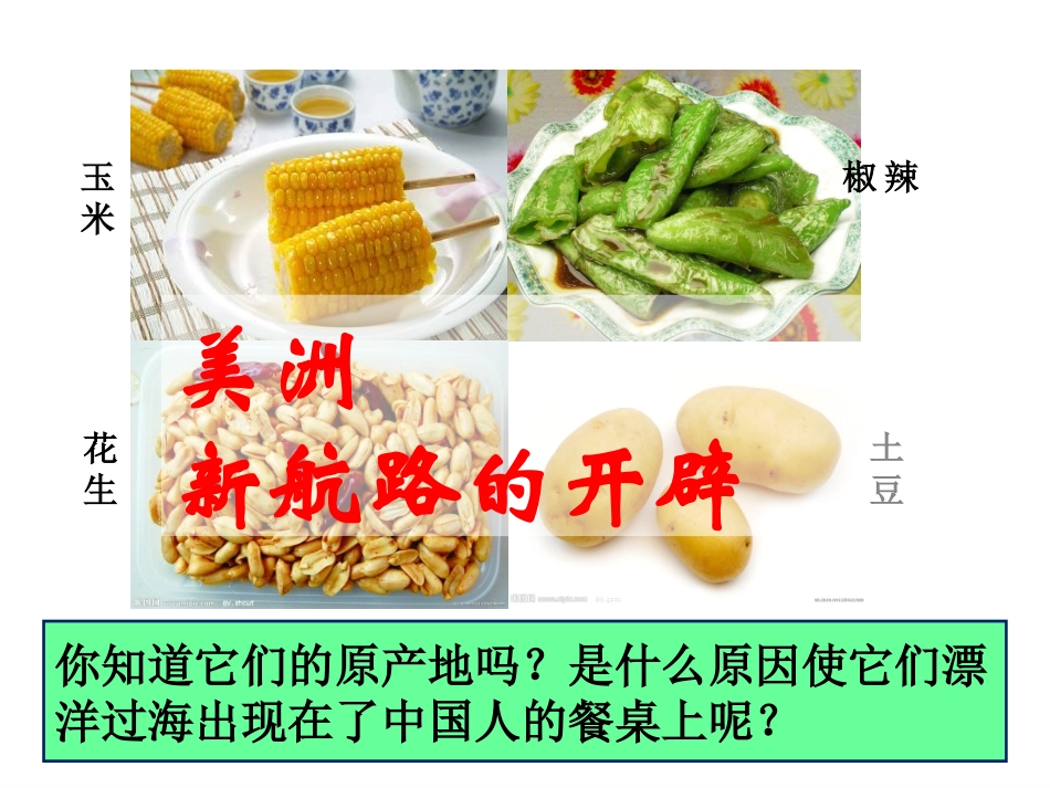 第十四课新航路的开辟_第2页