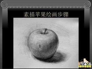 -素描课件——静物苹果绘画步骤