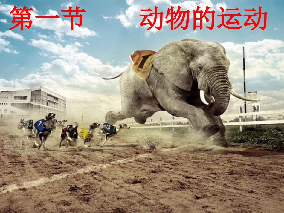 《第一节-动物的运动》课件2_第1页