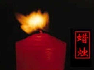 《蜡烛》教学课件3