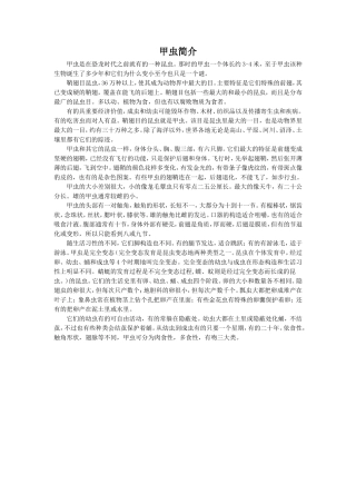 《草虫的村落》拓展阅读-甲虫简介