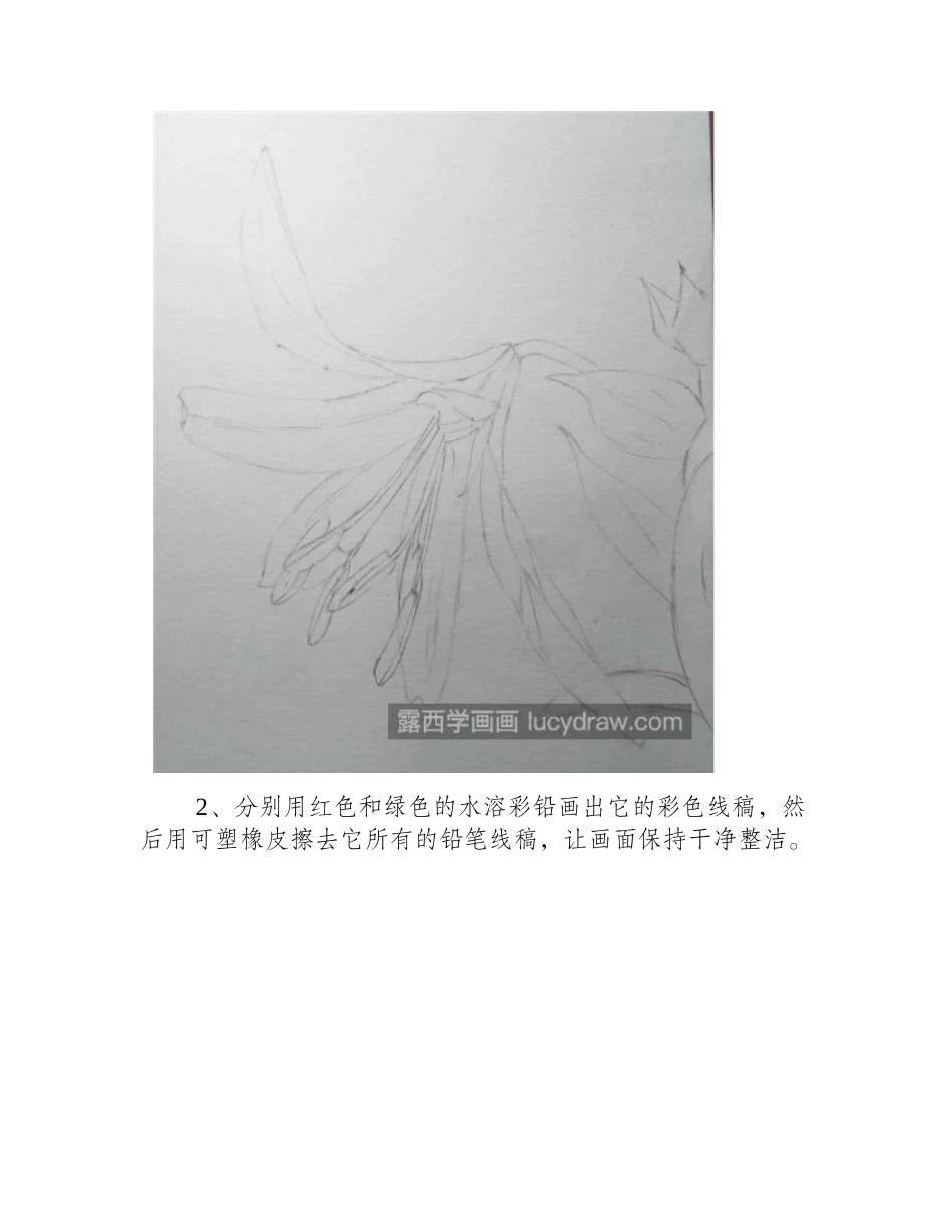 香水百合怎么画_百合花的水彩画步骤有哪些_水彩画教程1_第2页