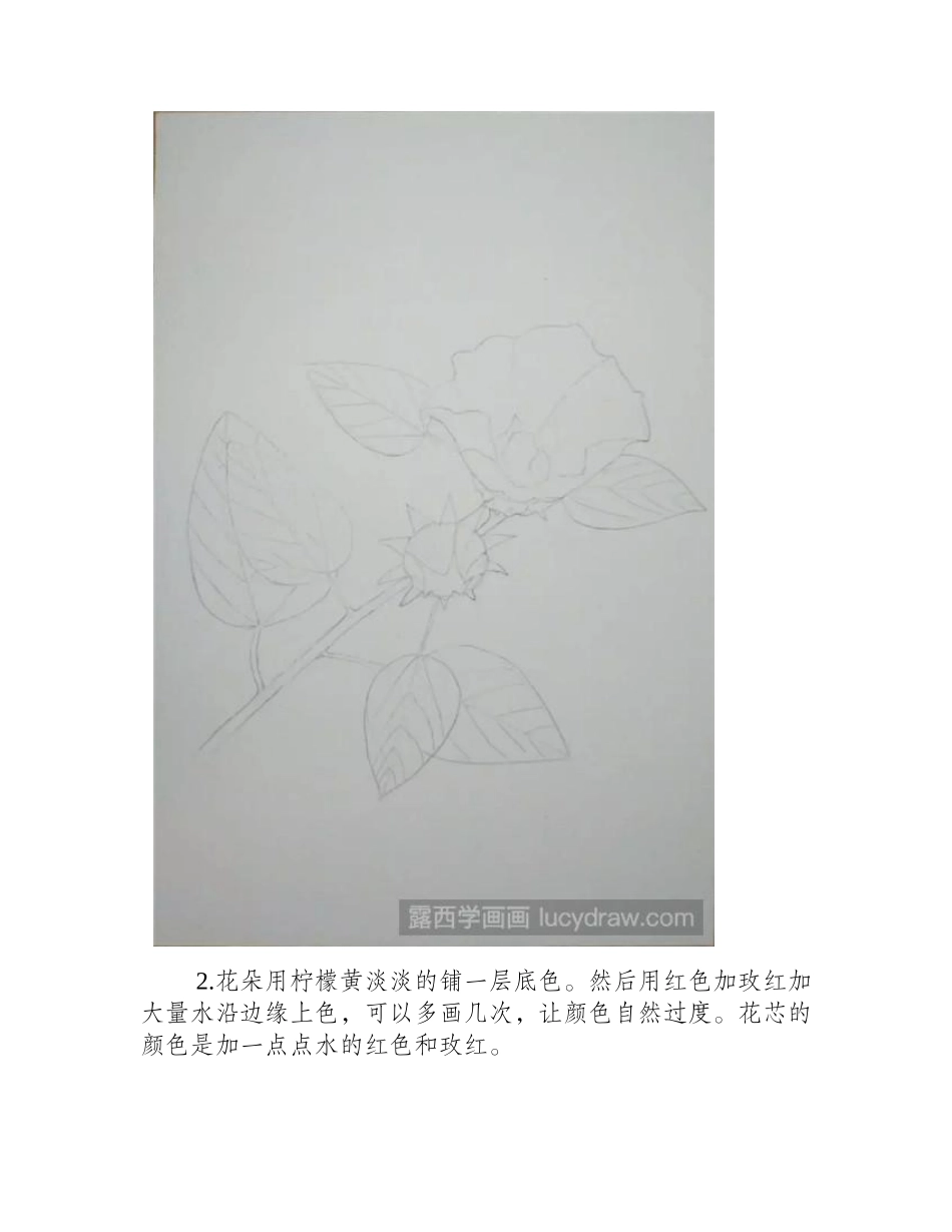 手绘水彩洛神花怎么画_水彩画教程_第2页