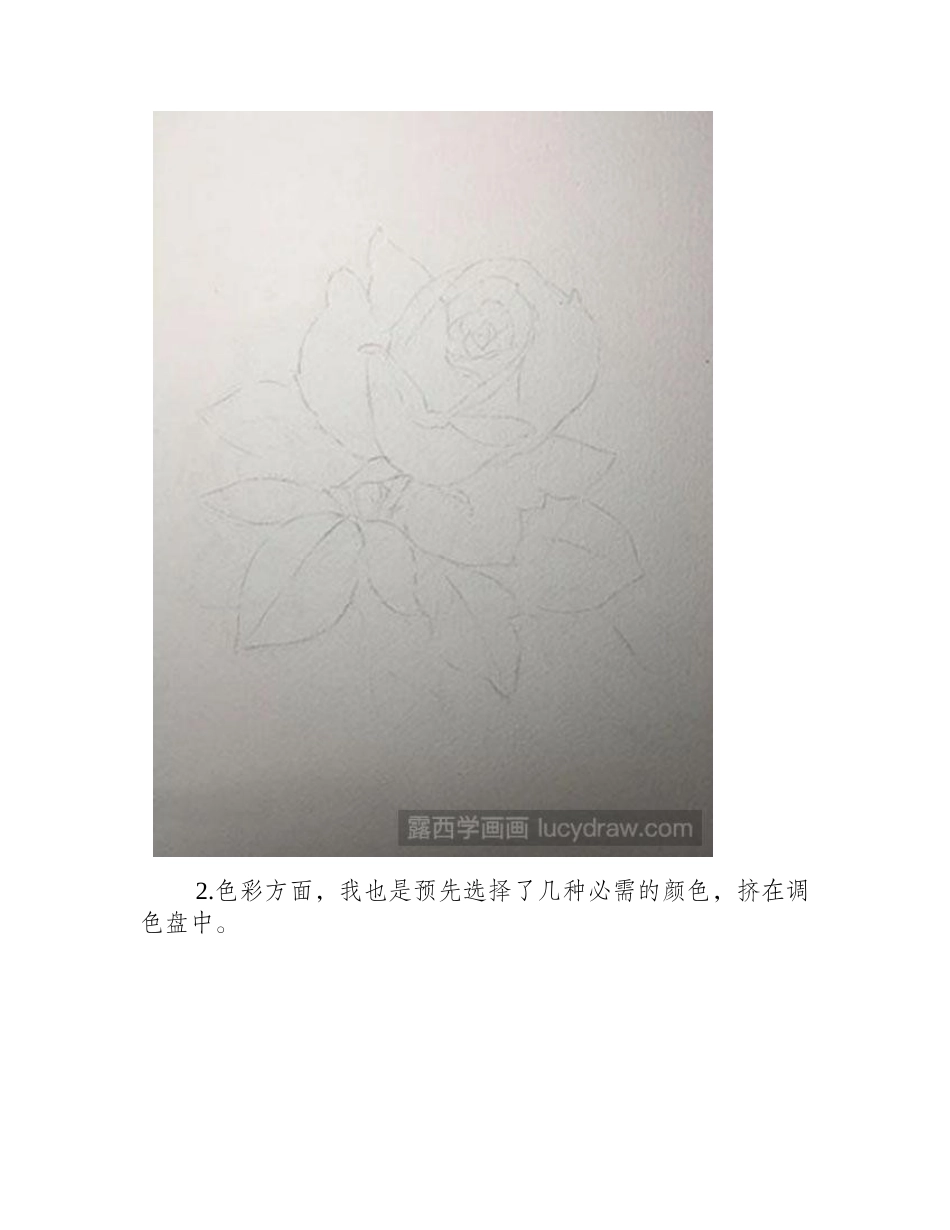 水彩画教程-怎么绘制红玫瑰水彩画教程_第2页