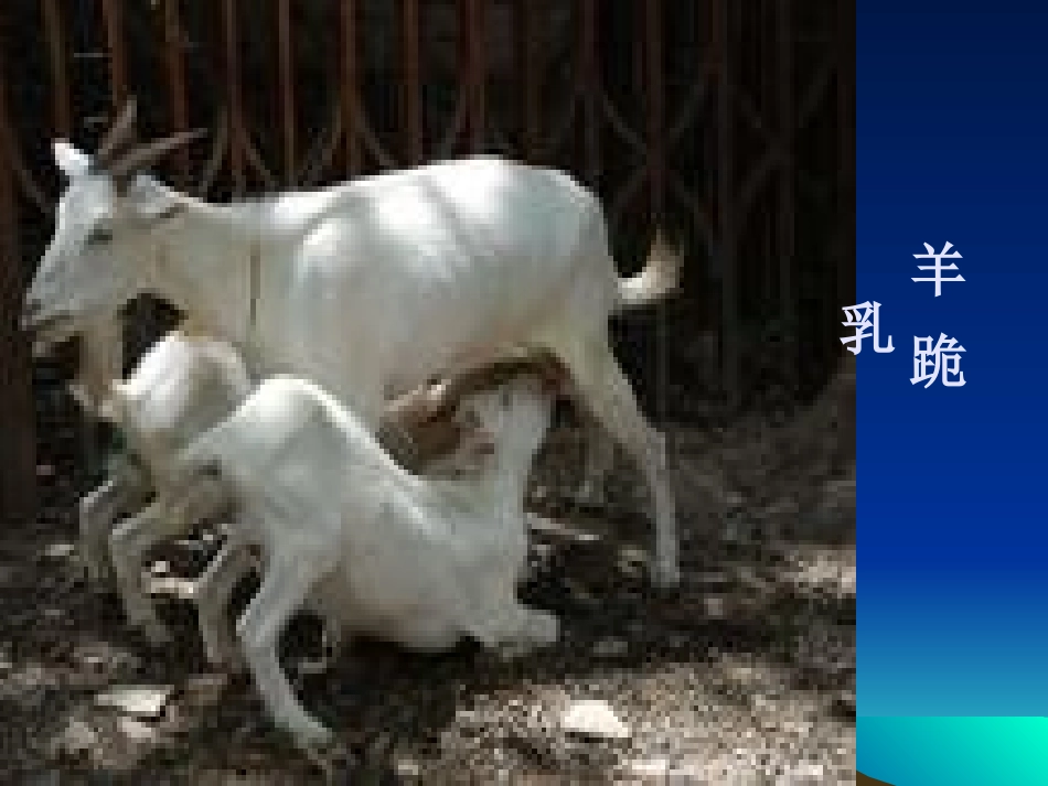 《做一个会讲故事的人》_第1页