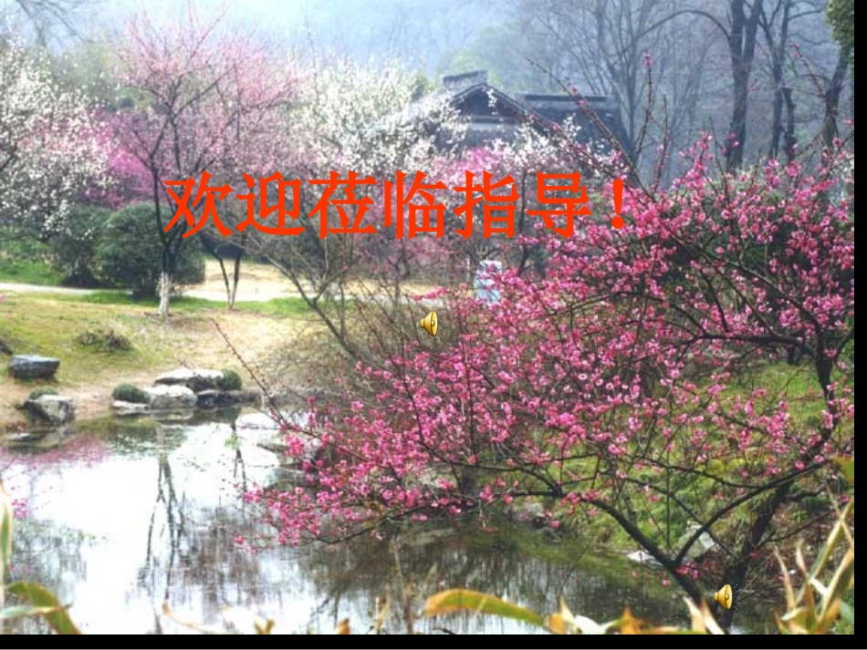 S-17致橡树_第1页