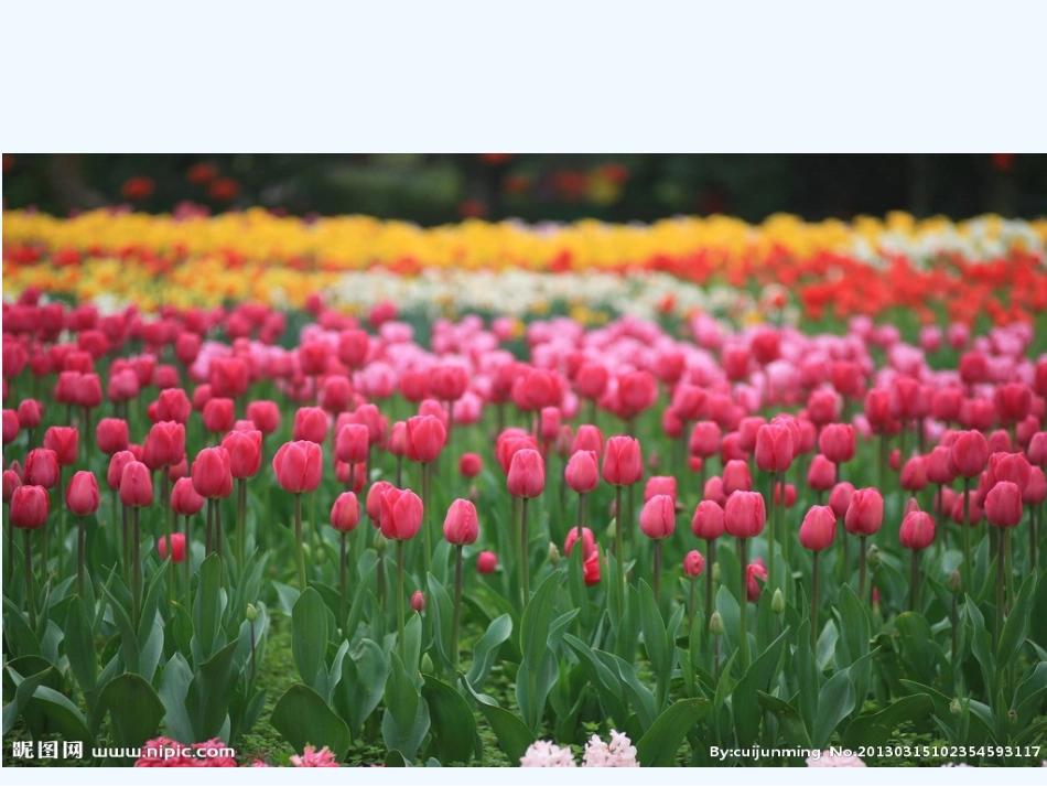 (部编)人教语文2011课标版一年级下册我最喜欢春天_第2页