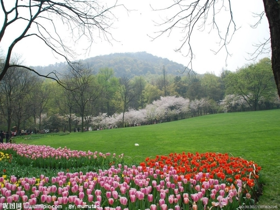 (部编)人教语文2011课标版一年级下册我最喜欢春天_第3页